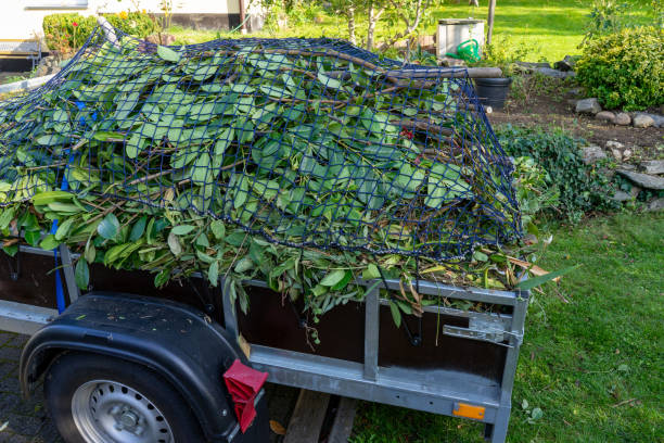 Best Yard Waste Removal  in Scottdale, GA